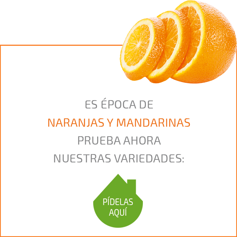 Temporada Naranjas Mandarinas